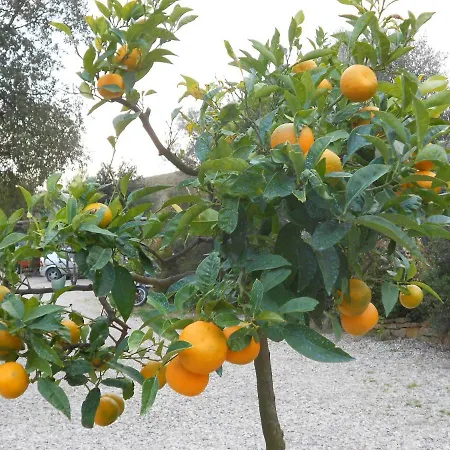 Agriturismo Il Fontino * Capalbio